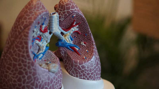 Why sitting impairs your breathing and health