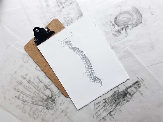 Sitting leads to lower back pain and disk herniations