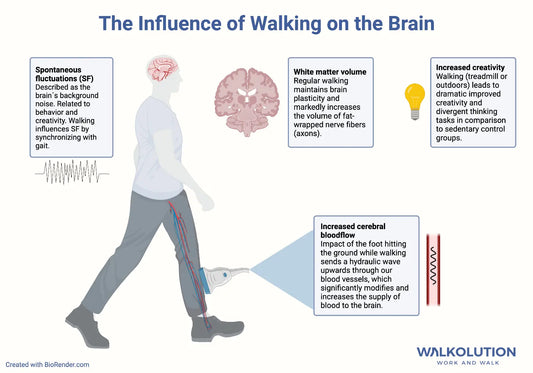 The Influence of Walking on the Brain