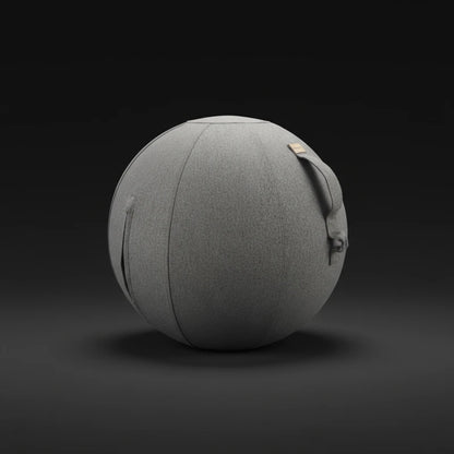 Walkolution Active Sitting Ball