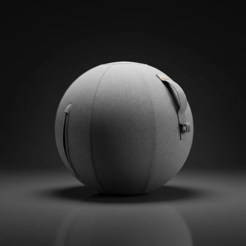 Walkolution Active Sitting Ball