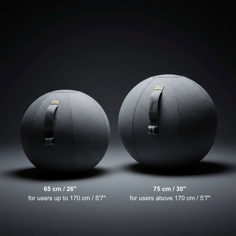 Walkolution Active Sitting Ball