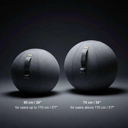 Walkolution Active Sitting Ball
