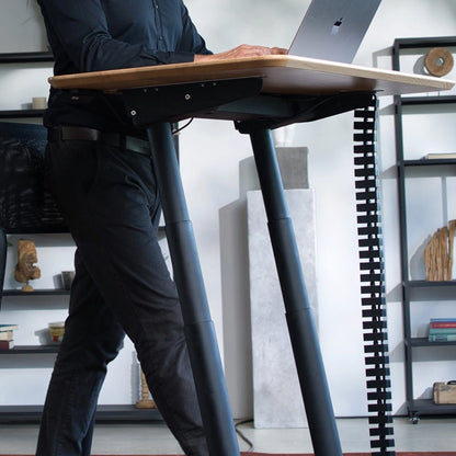 Walkolution Fusion Desk (Coming Q4/2025)