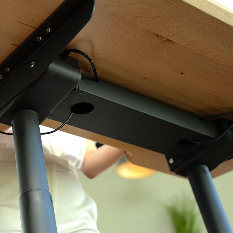 Walkolution Fusion Desk (Coming Q4/2025)